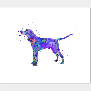 American English coonhound Posters and Art